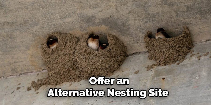 Offer an Alternative Nesting Site