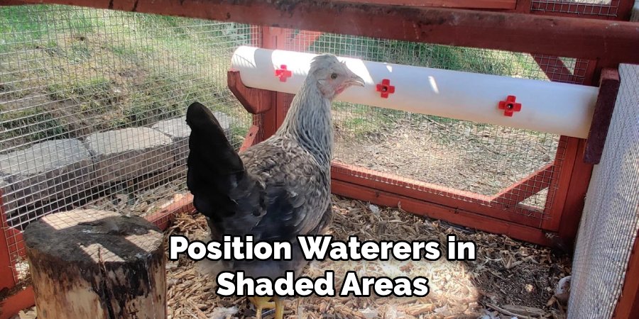 Position Waterers in Shaded Areas