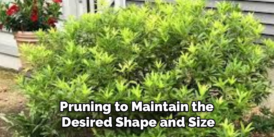 Pruning to Maintain the 
Desired Shape and Size