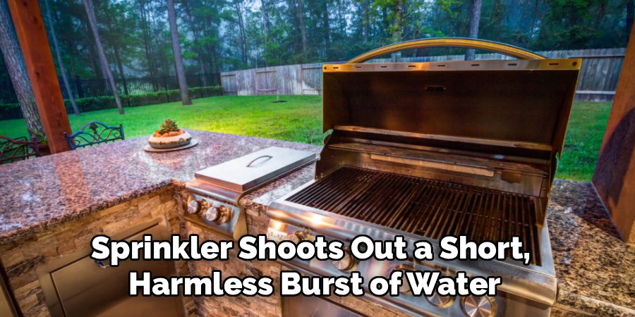 Sprinkler Shoots Out a Short, 
Harmless Burst of Water