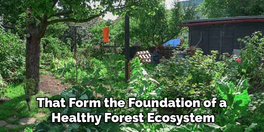 That Form the Foundation of a 
Healthy Forest Ecosystem