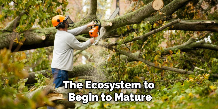 The Ecosystem to 
Begin to Mature