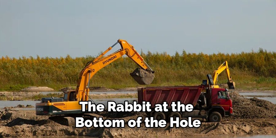 The Rabbit at the 
Bottom of the Hole
