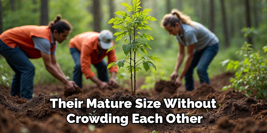 Their Mature Size Without 
Crowding Each Other