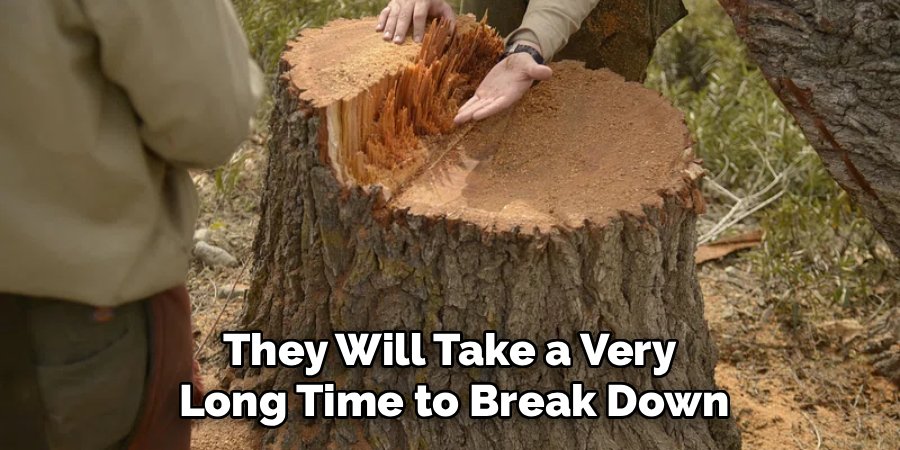 They Will Take a Very 
Long Time to Break Down