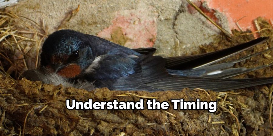 Understand the Timing