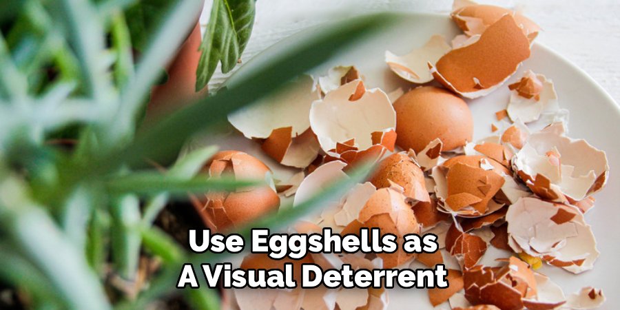 Use Eggshells as a Visual Deterrent