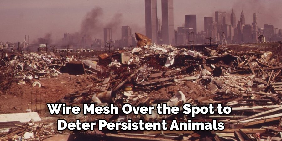 Wire Mesh Over the Spot to 
Deter Persistent Animals