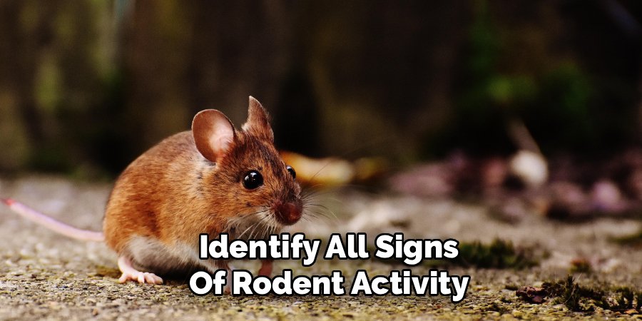 Identify All Signs of Rodent Activity