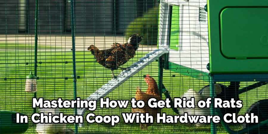 Mastering How to Get Rid of Rats in Chicken Coop With Hardware Cloth